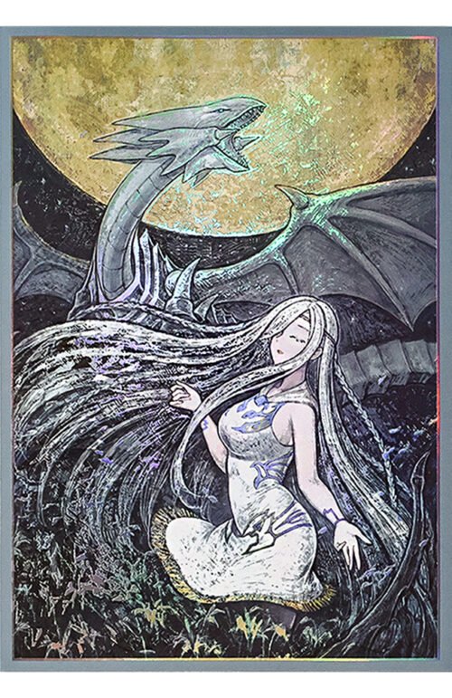 50PCS 63x90mm HOLO Japanese Size Card Sleeves for YGO/Photo Card ( Blue-eyes White Dragon )